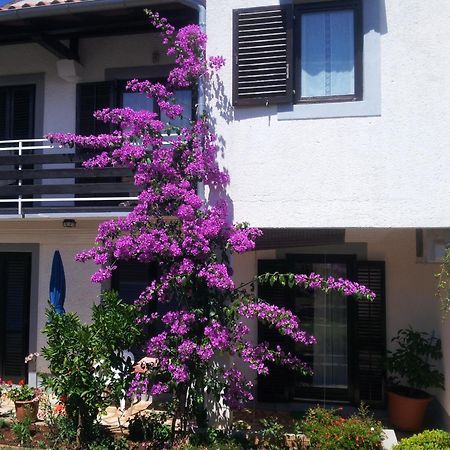 Apartments Barac Poreč Zewnętrze zdjęcie