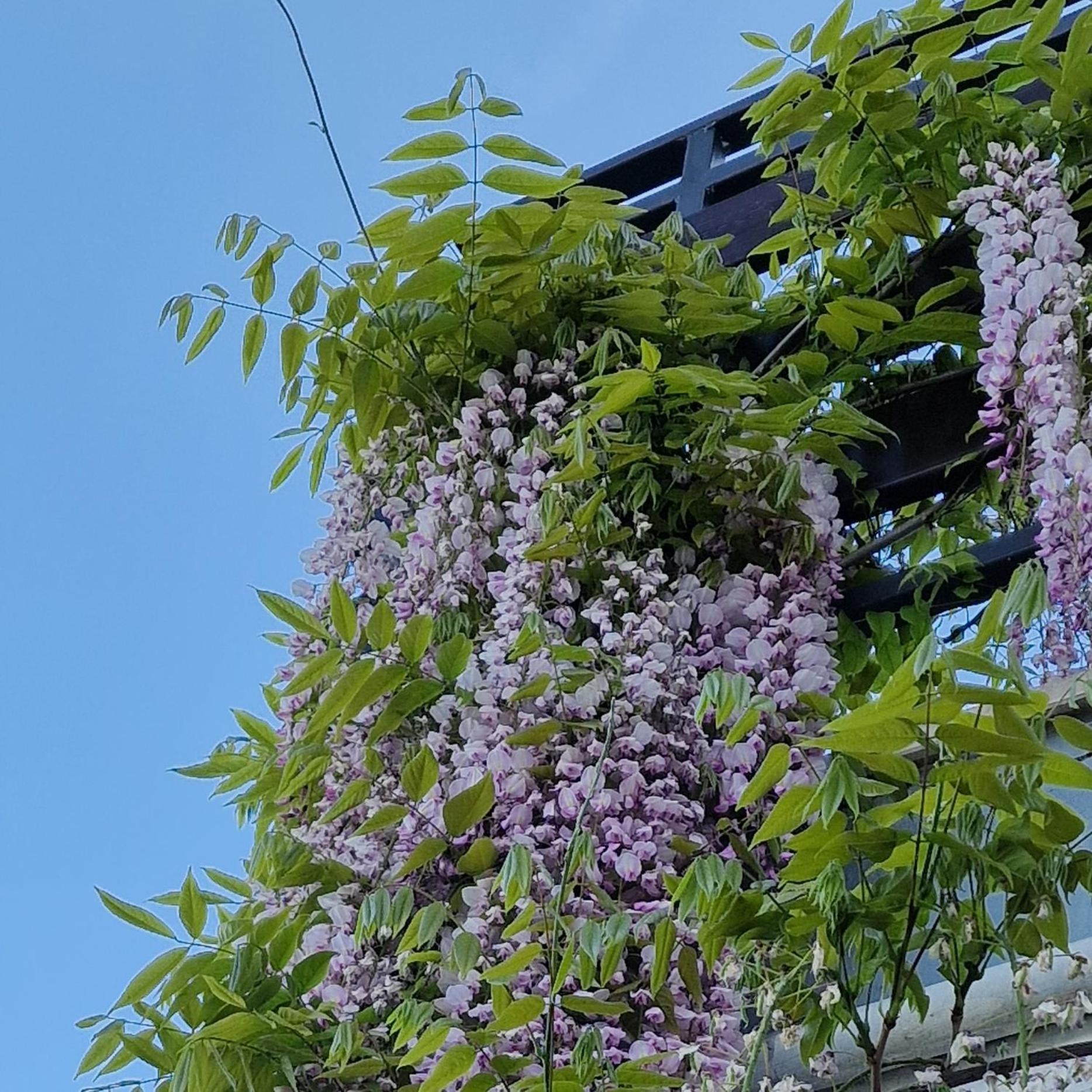 Apartments Barac Poreč Zewnętrze zdjęcie